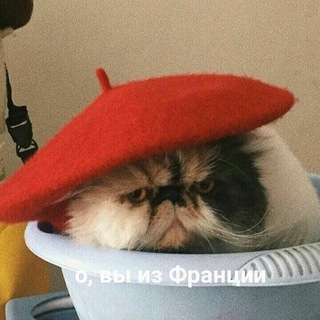 ANASTASIA MALTSEVA | PH.