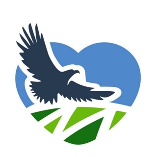 МОЗЫРЬ NEWS