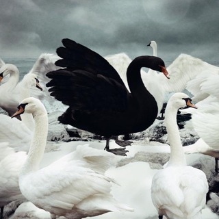 НЕБЛОКЧЕЙН