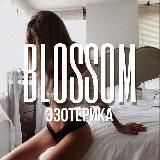 ЭЗОТЕРИКА | АСТРОЛОГИЯ | ТАРО  BLOSSOM КУРСЫ | ЧЕК-ЛИСТЫ