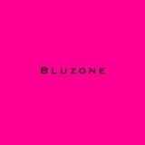 BLUZONE