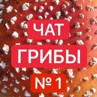 №1 MUHOMORSPACE.RU ГРИБОЕДЫ ЧАТ - МУХОМОРЫ 16 + ГРИБНИКИ