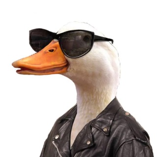 СТИЛЬНЫЕ ГУССИ