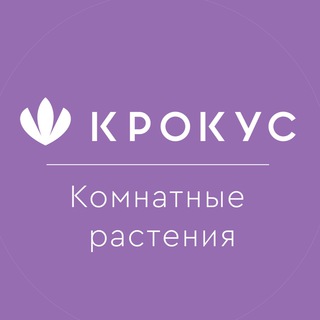 КОМНАТНЫЕ РАСТЕНИЯ «КРОКУС»