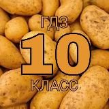 10 КЛАССЫ РБ