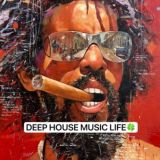 DEEP HOUSE MUSIC LIFE