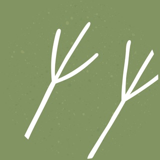 ЛЕСНАЯ ШКОЛА «СОЙКИН СЛЕД»