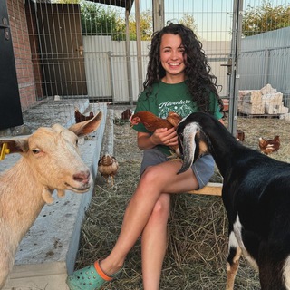 ЗДЕСЬ ПРОСТО УЮТНО