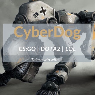 CYBERDOG | CS:GO