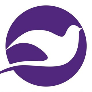 FLY MIR CONSULTING