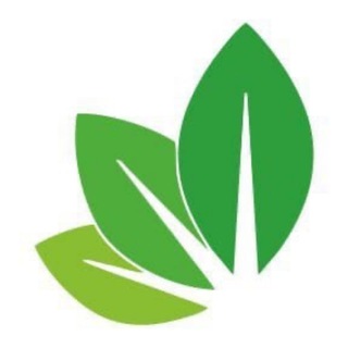 SEMENA.RU