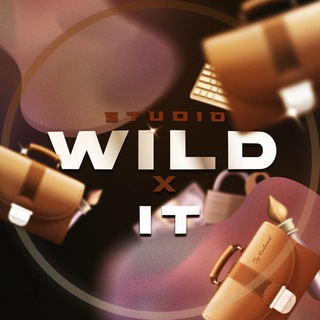  | WILD IT STUDIO | ПРОГРАММИРОВАНИЕ | ДИЗАЙН | КОДИНГ | РАЗРАБОТКА | ИНТЕРФЕЙС | UX|UI