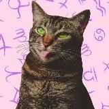 КОТЯЧИЙ ГОРОСКОП