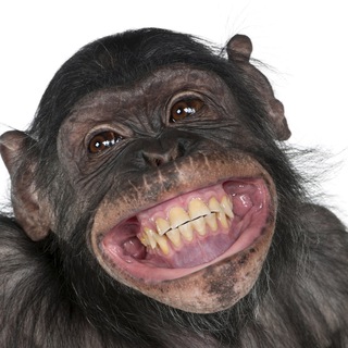 АНЕКДОТЫ ИЗБРАННОЕ