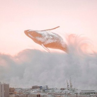 ЗАПОЛЯРНАЯ СВОЛОЧЬ