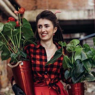 MY.GREEN.DECOR | КОМНАТНЫЕ РАСТЕНИЯ