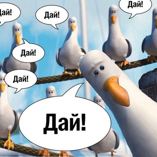 КАЛЬЯННАЯ ЧАЙКА БАЗА РОЗЫГРЫШЕЙ