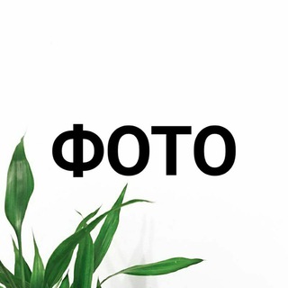 ФОТО КОНТЕНТ