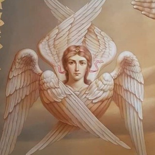 ЗАПИСКИ ВОИНА СВЕТА