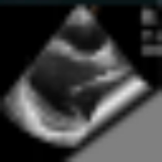 DOCTOR-SOFT ECHO NEWS