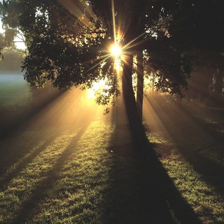 ИИСУС ГОВОРИТ С ТОБОЙ