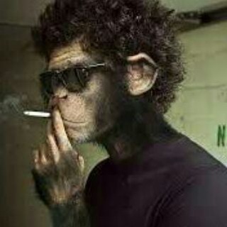 SMOKE LIKE BOSS