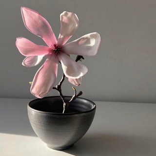 КАНАЛ ПЕРЕЕХАЛ! ВАША МОТИВАЦИЯ