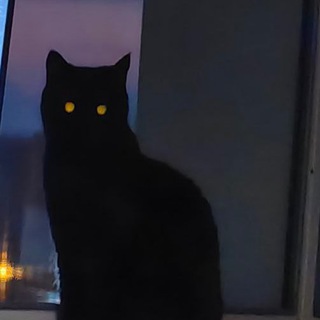 ЖИВОТНЫЕ С ЛАЗЕРНЫМИ ГЛАЗАМИ