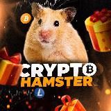 HAMSTER BOX 