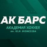 «АКАДЕМИЯ ХОККЕЯ АК БАРС»