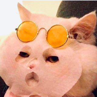 НЕ ЕШЬ КАКТУС