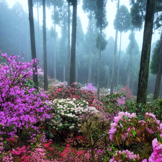 УЮТНАЯ ЖИЗНЬ