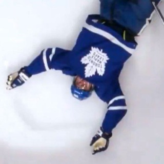 ЯСТРЕБИЦА ХОККЕЙНАЯ ПТИЦА