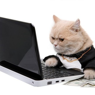 ФОРЕКС ТРЕЙДИНГ