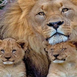 КРАСНОДАР - МОСКВА ТАКСИ ХИЗМАТИ