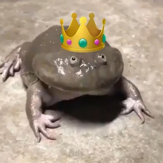 НЕВРОТИЧЕСКИЙ ЖУРНАЛ