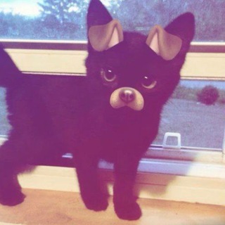 СРОЧНО ЗАПОРОЖЬЕ