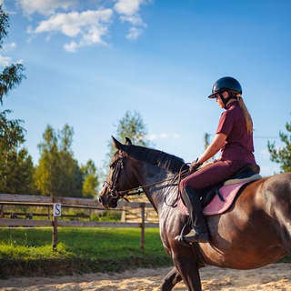  ЛОШАДИ | КОННЫЙ СПОРТ 