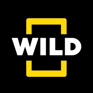 NAT GEO WILD
