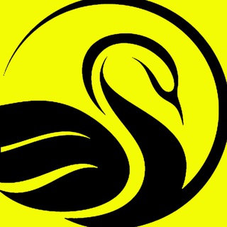 BLACK SWAN | WHITELISTS