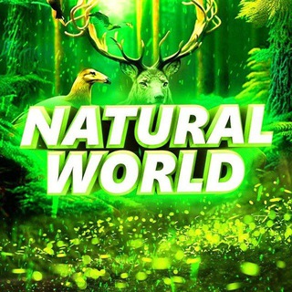 NATURAL WORLD