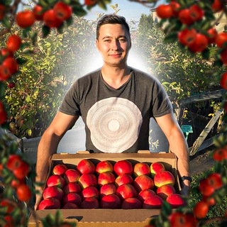 ИНТЕНСИВНЫЙ САД