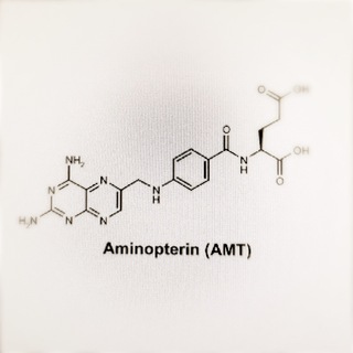 ЗАМЕТКИ ХИМИОТЕРАПЕВТА