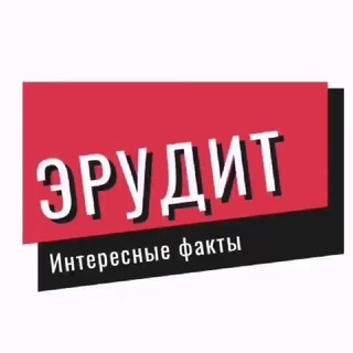 ЭРУДИТ | ИНТЕРЕСНЫЕ ФАКТЫ