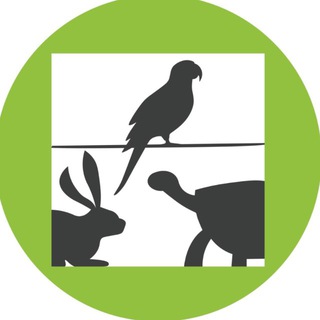 WEBEXOVET - ONLINE SCHOOL FOR EXOTIC VETS