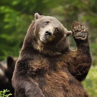 ДОСТАВКА ИЗ КИТАЯ