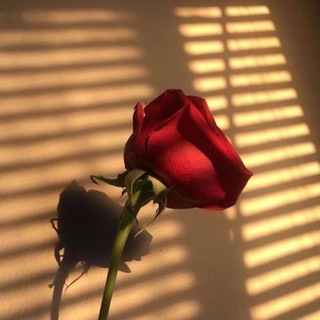 @FALKON.66 | ВИДЕО ЫРЛАР