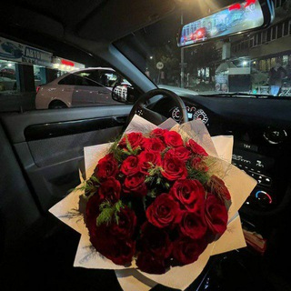 ꜰ ᴏ Ʀ ᴛ ᴀ ɴ A | СОХРЫ | ОБОИ