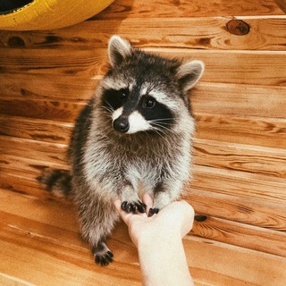 ДОПОМОГА ЗООПАРКУ