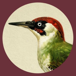 РЕСТОРАН ЗЕЛЁНЫЙ ДЯТЕЛ